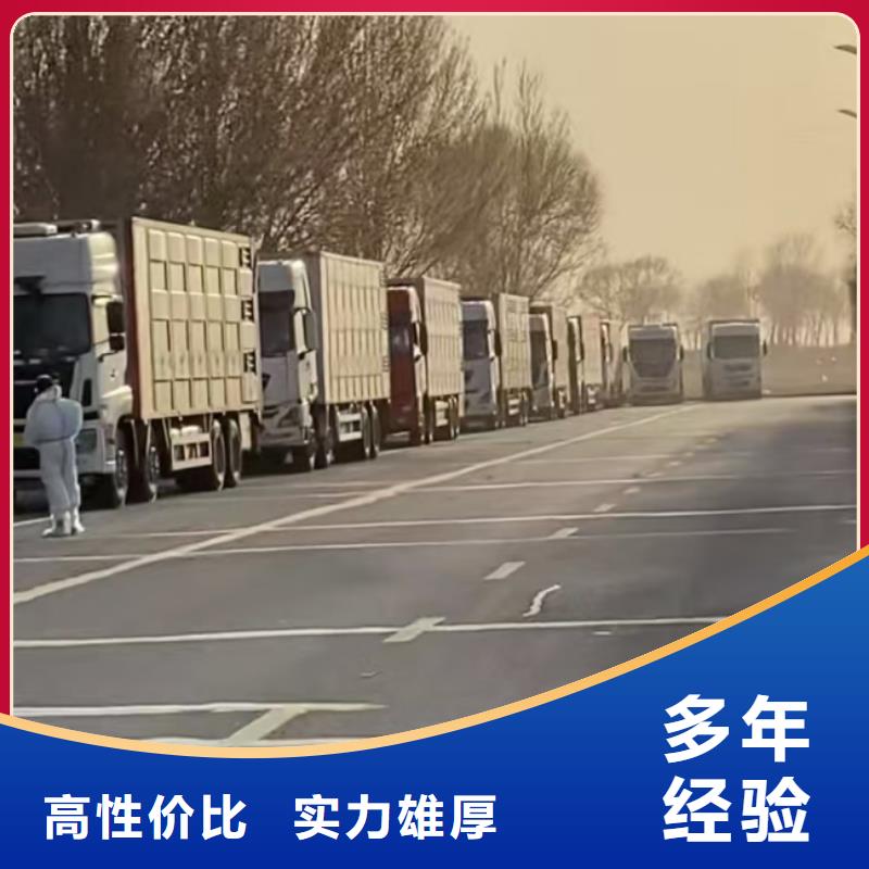 泗洪到散装料-专用车靠谱商家
