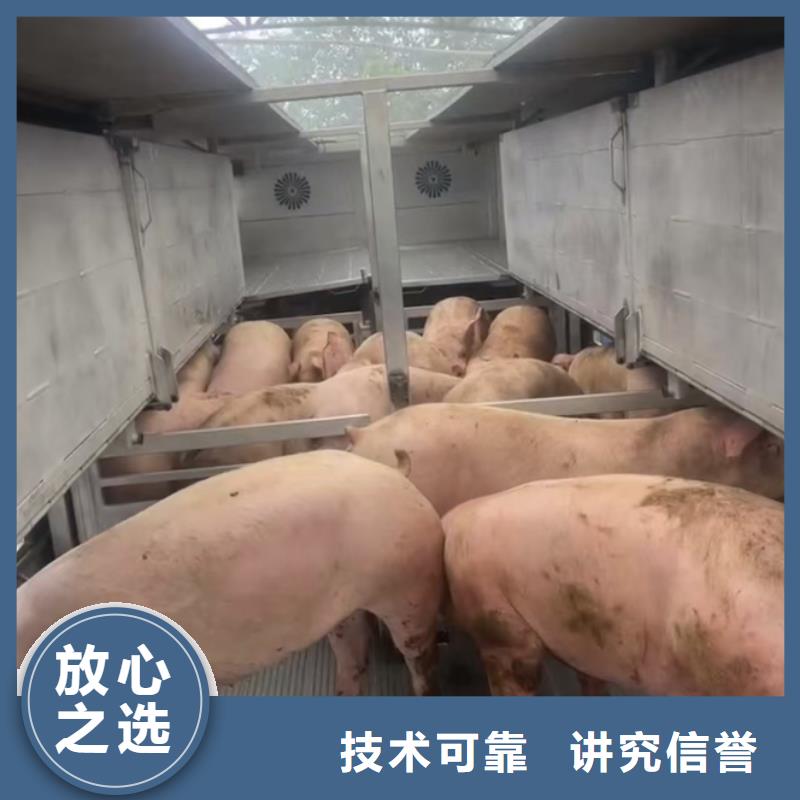 杭州到肥猪运输恒温车收费合理
