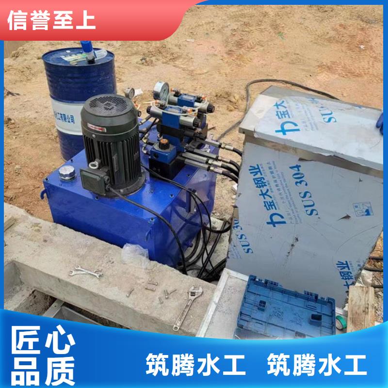 翻板閘門廠家直營
