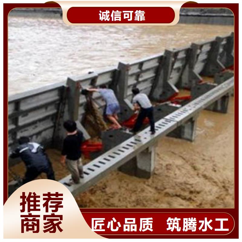翻板閘門規格齊全實力廠家