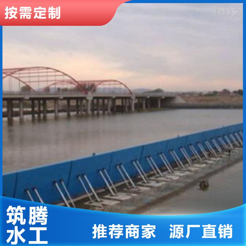 翻板閘門規格齊全實力廠家