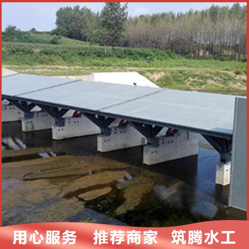 景觀閘門規(guī)格齊全實力廠家