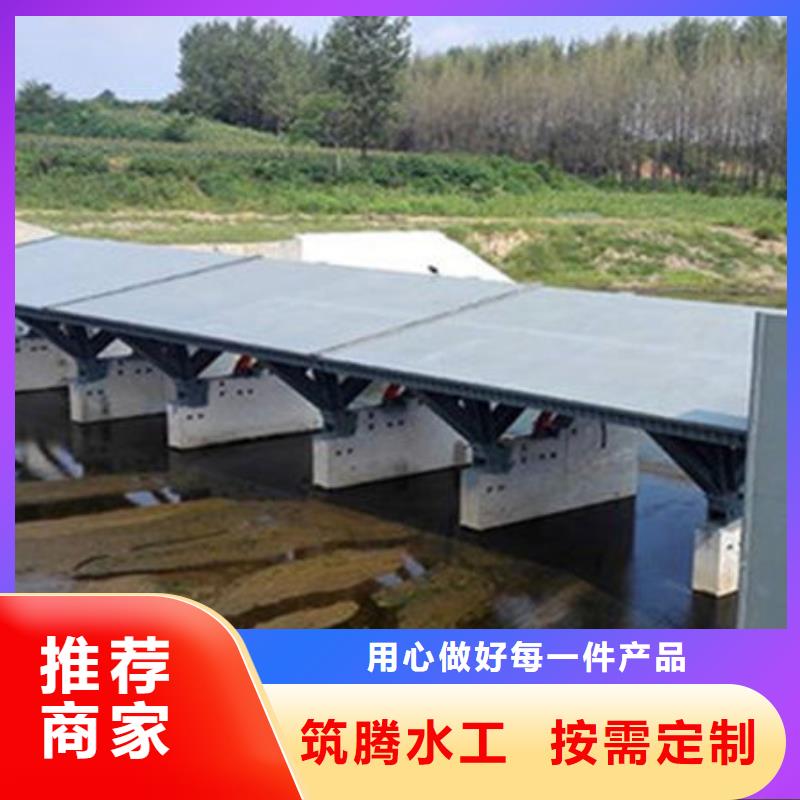 翻板閘門廠家直營