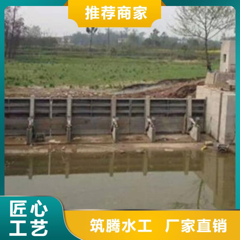 景觀閘門規(guī)格齊全實力廠家