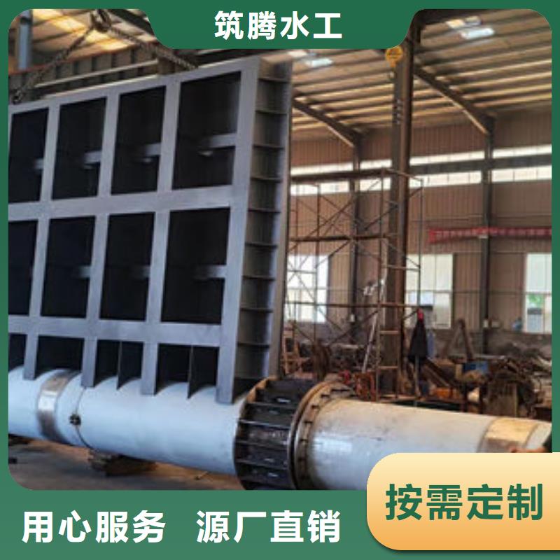 翻板閘門規格齊全實力廠家