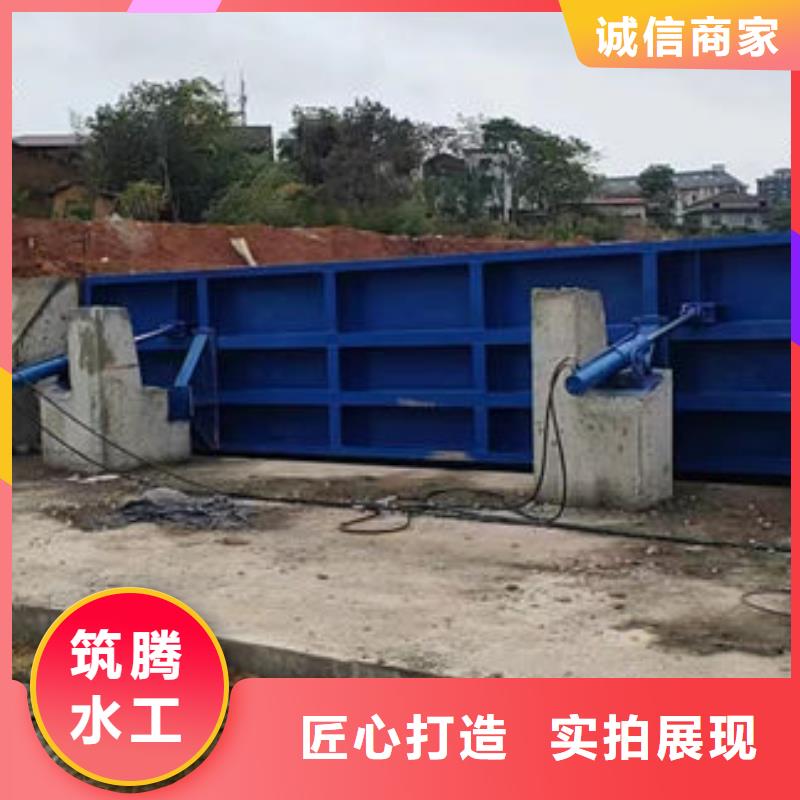 景觀閘門規(guī)格齊全實(shí)力廠家