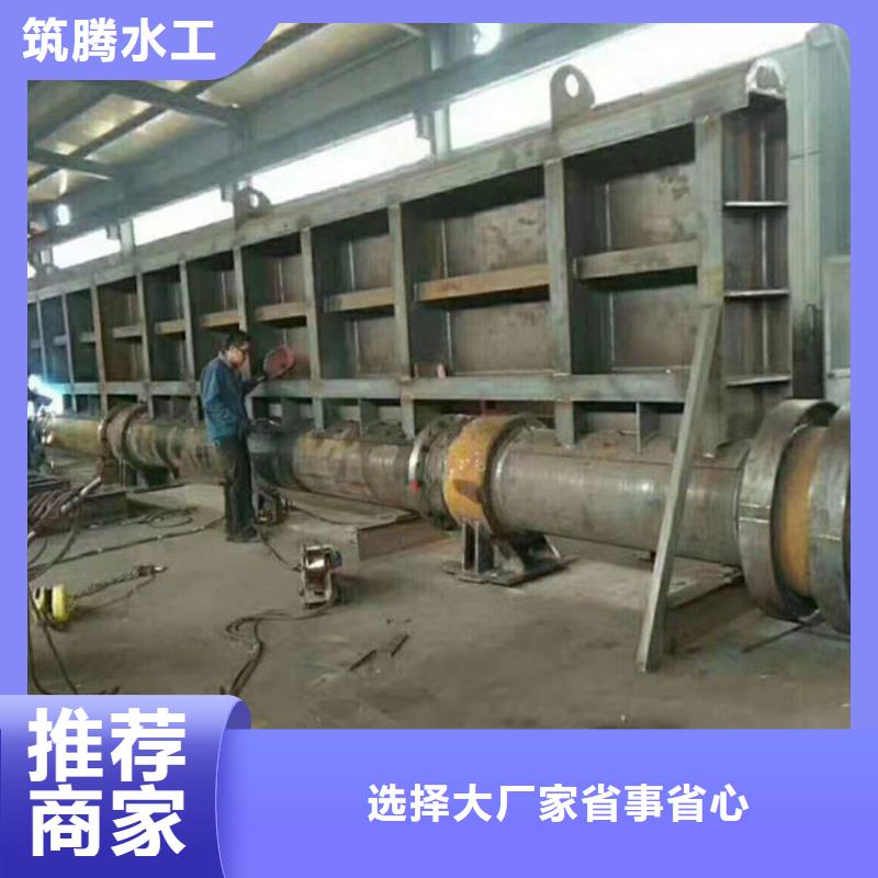景觀閘門規(guī)格齊全實力廠家