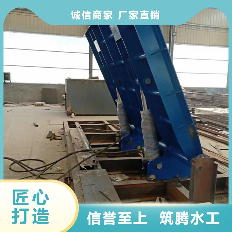 景觀閘門規(guī)格齊全實力廠家