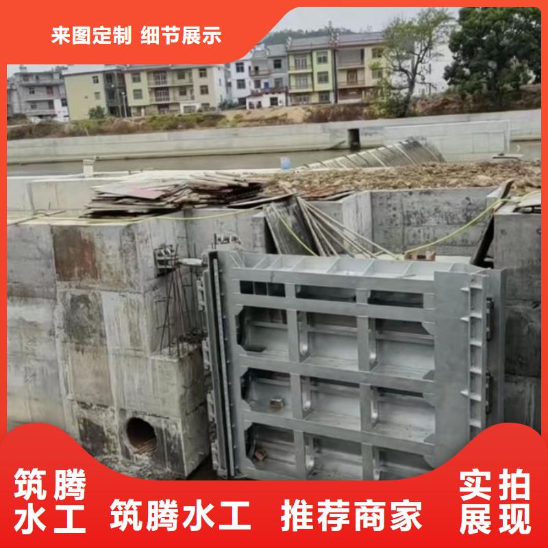 翻板閘門規格齊全實力廠家