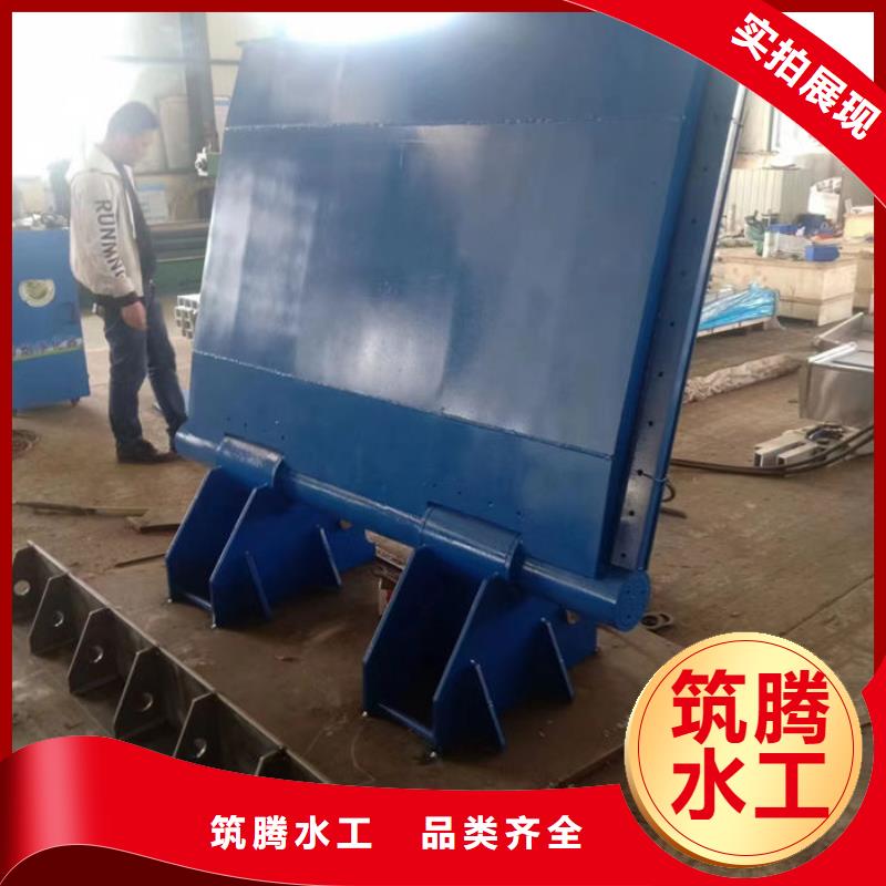 翻板閘門規格齊全實力廠家
