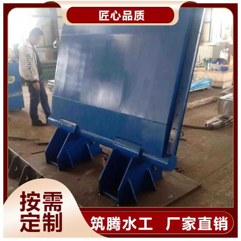 翻板閘門廠家直營