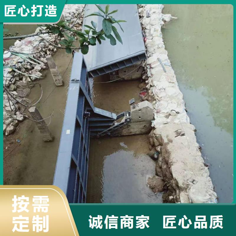 翻板闸门厂家货源