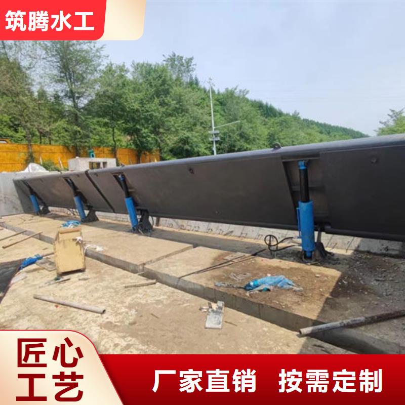 景觀閘門規(guī)格齊全實力廠家