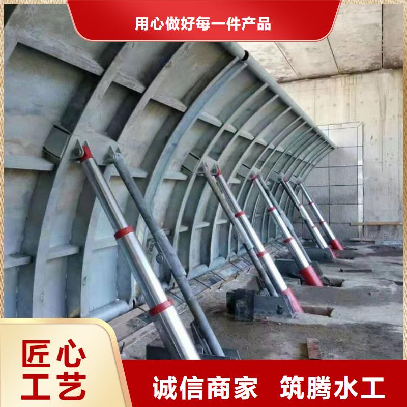 液壓雙控翻板閘門細節展示