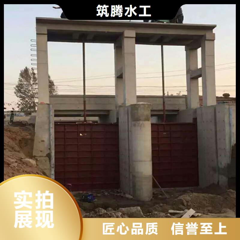 機(jī)閘一體式閘門廠家直銷
