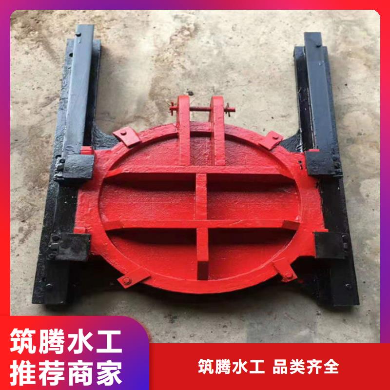 機(jī)閘一體式閘門廠家直銷