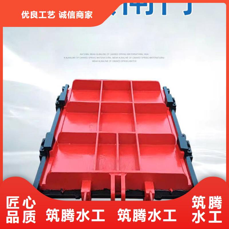 暗桿式鑄鐵閘門用心經營