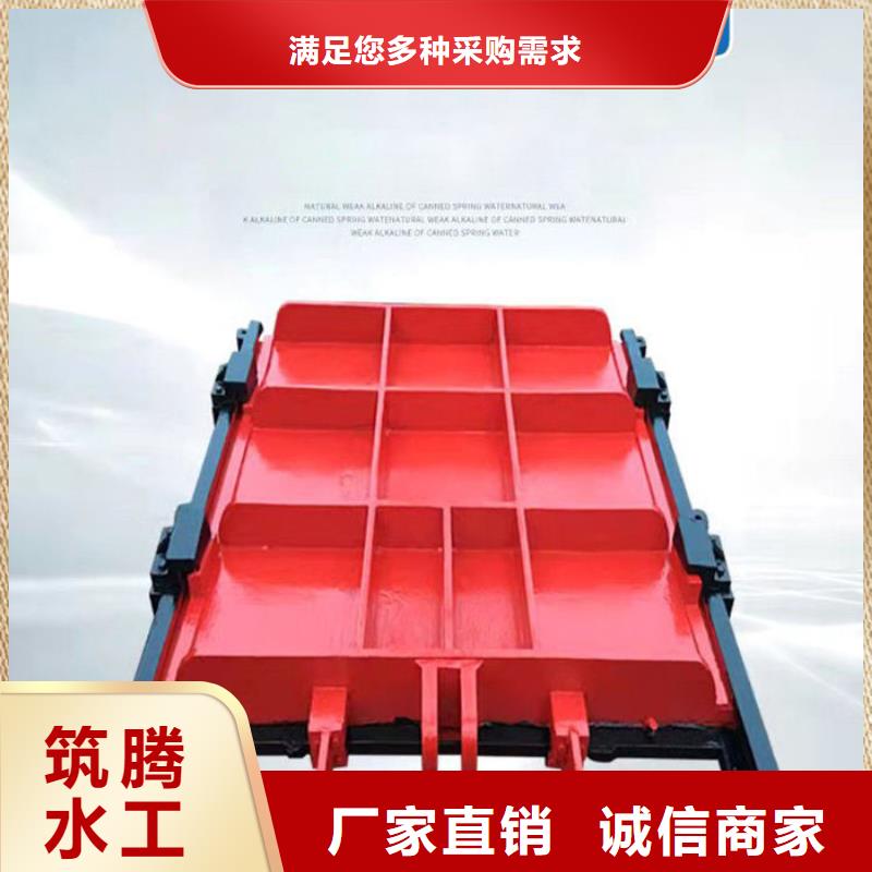 弧形鑄鐵閘門工廠直供