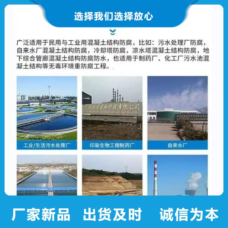 澳闊防腐高彈性環氧改性防腐涂料實惠工廠直供商家PEO水性防腐防水涂料