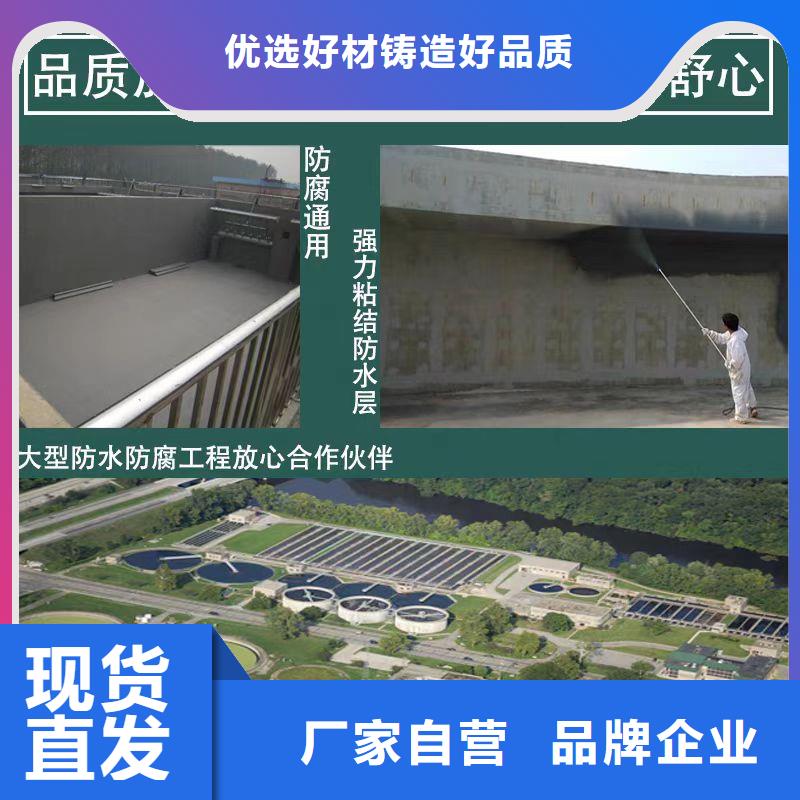 澳闊防腐滲透性改性樹脂防腐涂料誠信廠家工廠直供DH1900型防滲防腐涂料