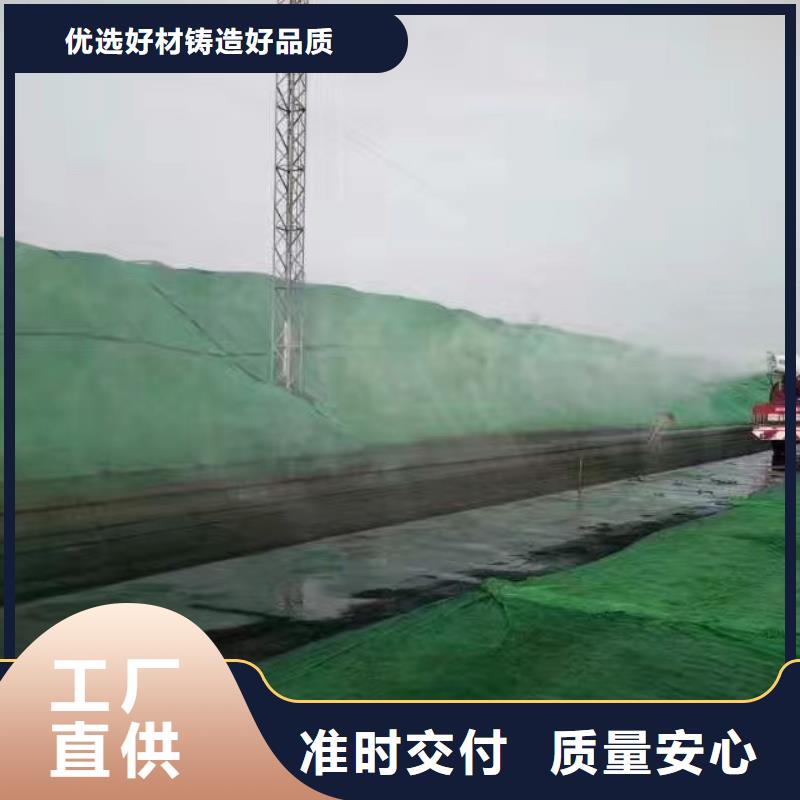 道路生物型降塵劑實力生產廠家